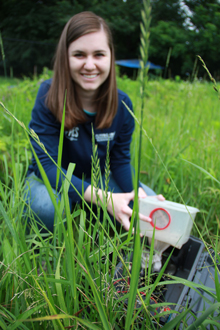 Student in field, trapping mosquitos