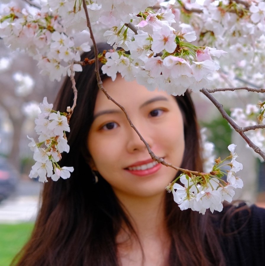 Xinlei Chen amongst cherry blossom branches