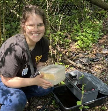 Leah Gruss is seen above setting mosquito traps as part of her work with the Pittsburgh Summer Institute.