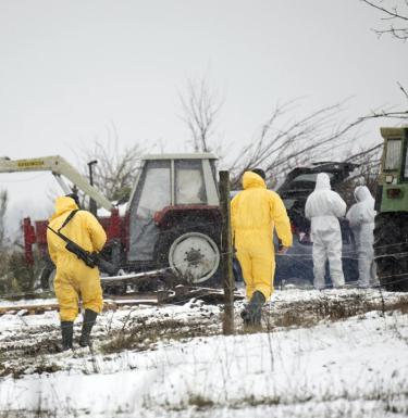 people in protective clothing walking through a farm