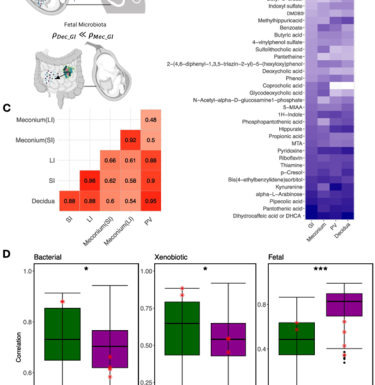 maternal diagram and graphs from article