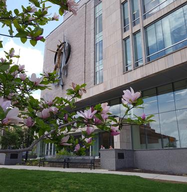 Pitt Public Health Building