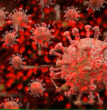The Conversation asked infectious diseases and microbiology Chair Suresh Kuchipudi to explain what researchers know about BA.2.86’s ability to dodge immune protection and whether it causes more severe infection than its predecessors.