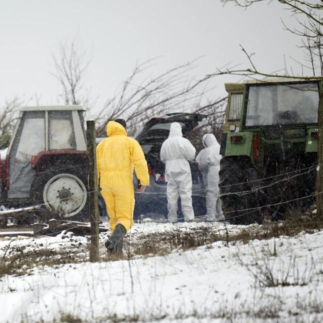 people in protective clothing walking through a farm