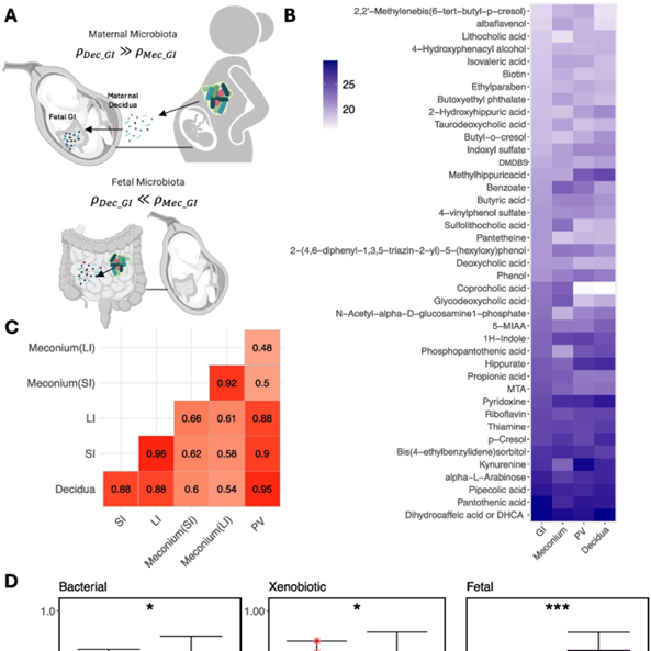 maternal diagram and graphs from article